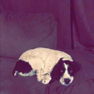 Meet your Posher, Sabrina